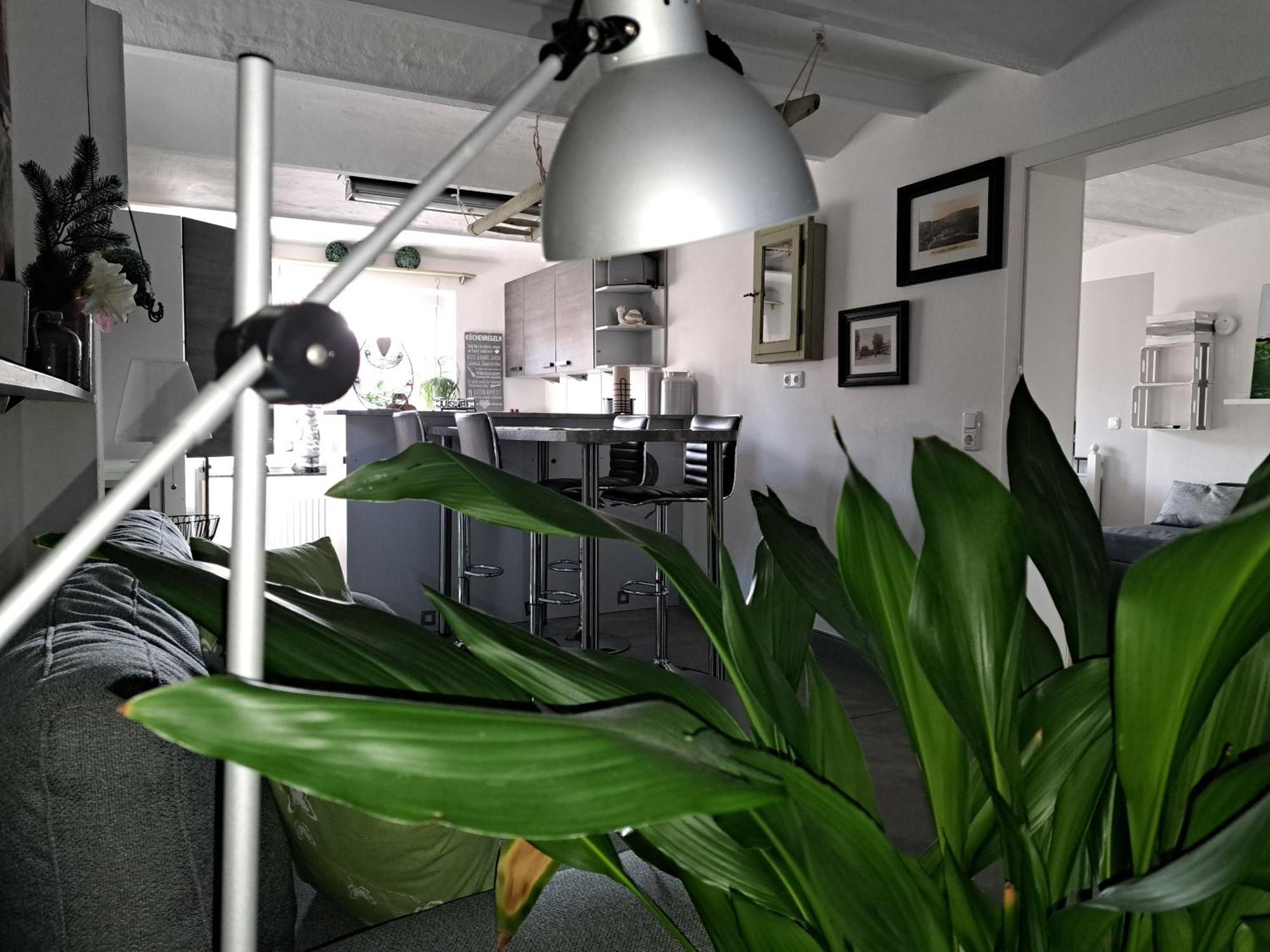 Ferienwohnung Moderne Frische Im Gewoelbe Бойценбург Экстерьер фото
